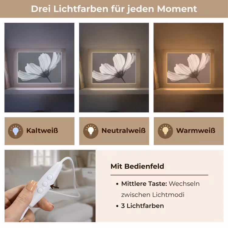 Bloem - Minimalistisch - Zwart - Wit Light Box met kabel (Tafellamp) klein -USP_lichtkleurDE
