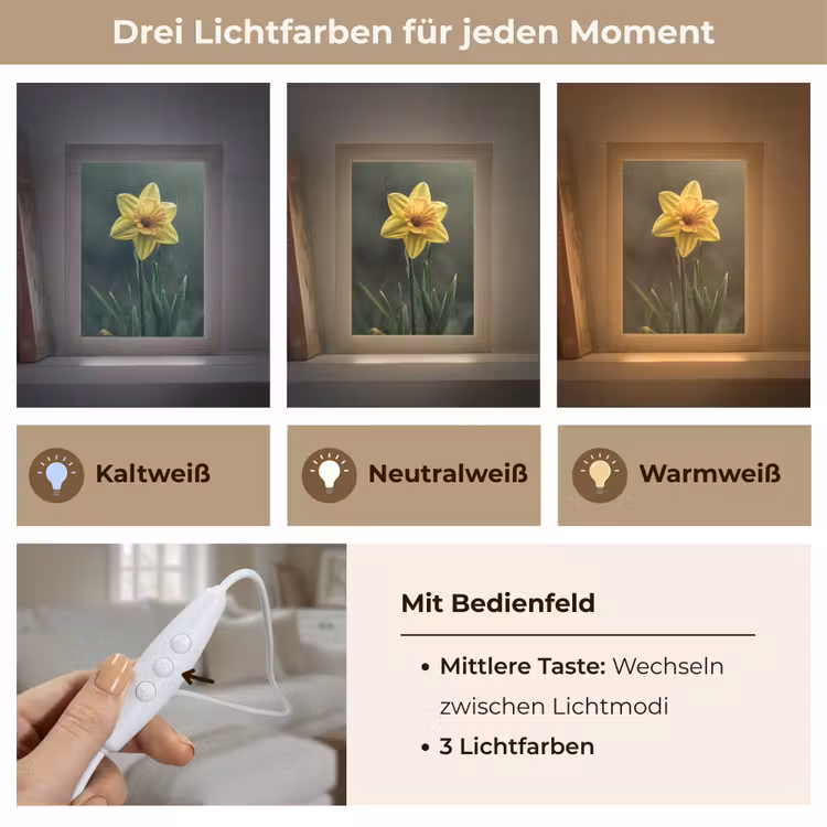Bloem - Narcis - Gras - Geel Light Box met kabel (Tafellamp) klein -USP_lichtkleurDE