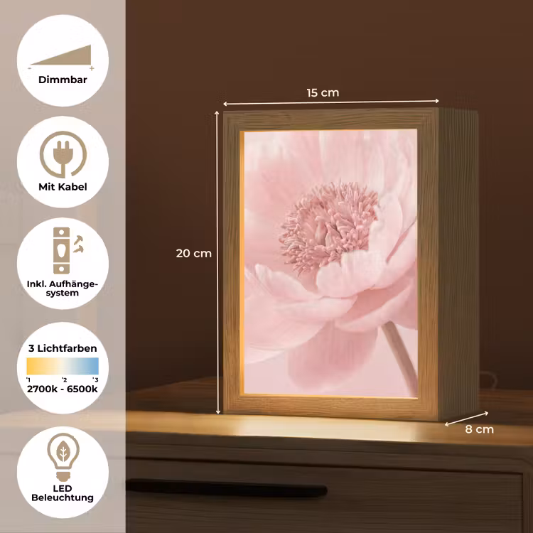 Bloem - Pioenroos - Roze Light Box met kabel (Tafellamp) klein -USP_DE