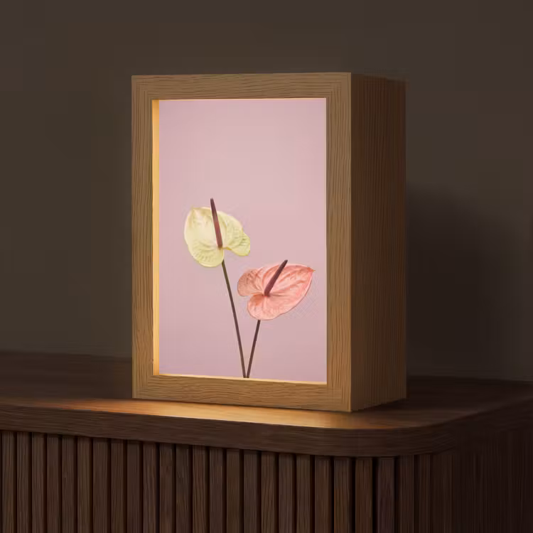 Bloemen - Anthuriums - Geel - Roze Light Box met kabel (Tafellamp) klein -z3d_website