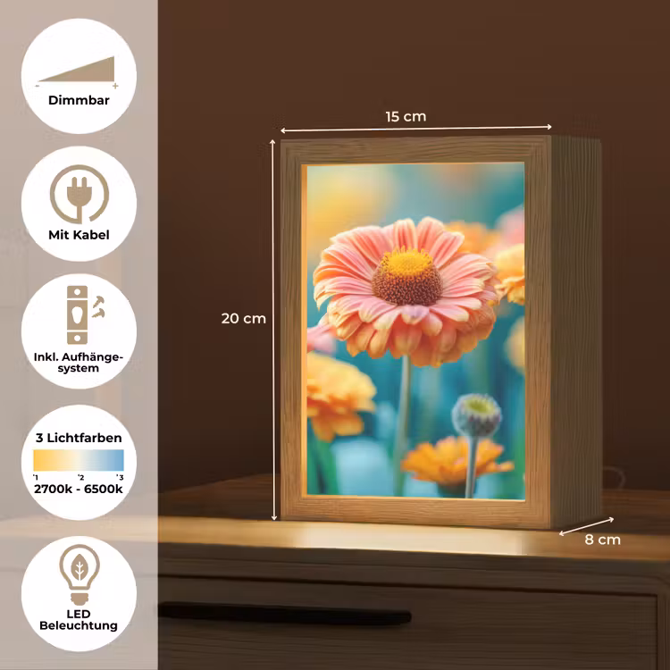 Bloemen - Kleurrijk - Natuur - Gerbera Light Box met kabel (Tafellamp) klein -USP_DE