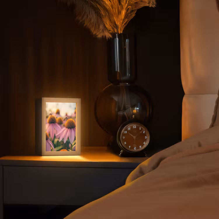 Bloemen - Paars - Bijen Light Box met kabel (Tafellamp) klein -sfeer1