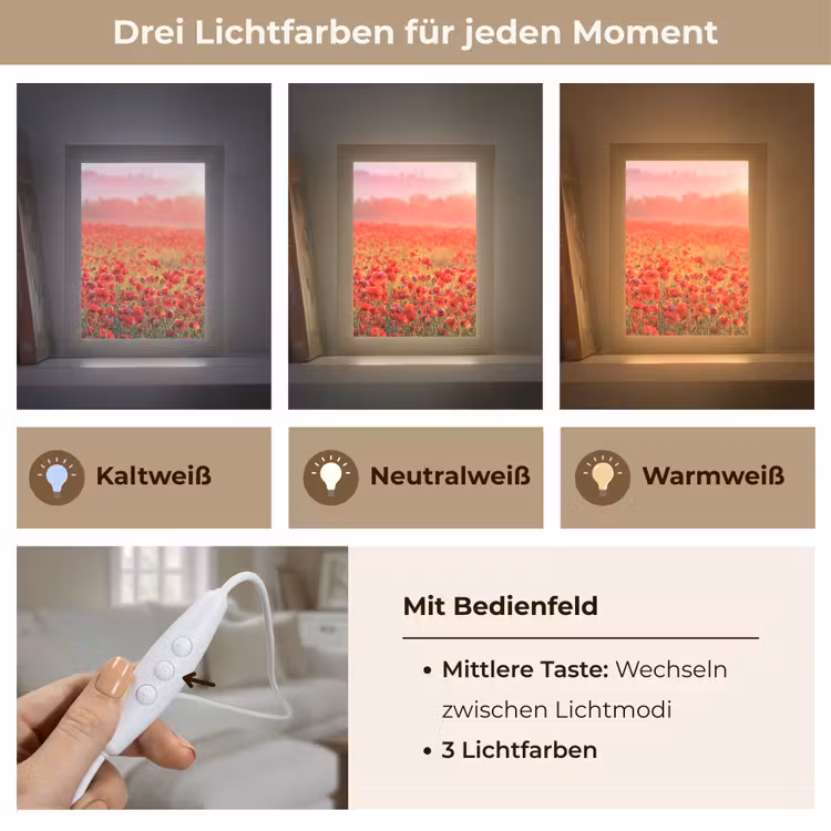 Bloemen - Klaprozen - Rood - Bloemenveld Light Box met kabel (Tafellamp) klein -USP_lichtkleurDE