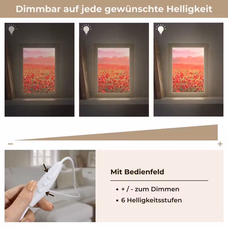 Bloemen - Klaprozen - Rood - Bloemenveld Light Box met kabel (Tafellamp) klein -USP_dimbaarDE