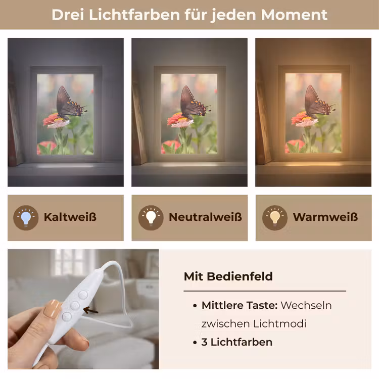 Bloemen - Vlinder - Natuur - Bloem Light Box met kabel (Tafellamp) klein -USP_lichtkleurDE