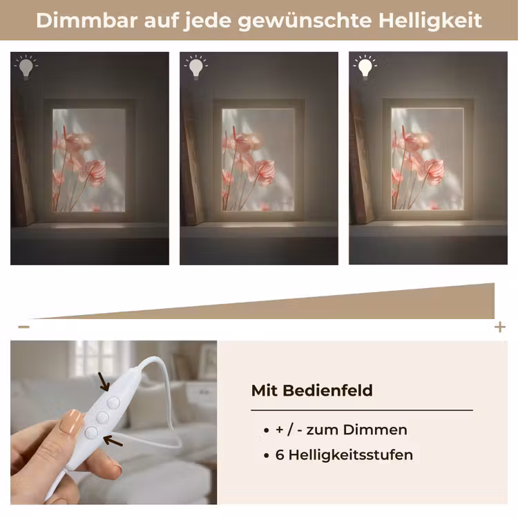 Bloemen - Stelen - Roze - Schaduw Light Box met kabel (Tafellamp) klein -USP_dimbaarDE