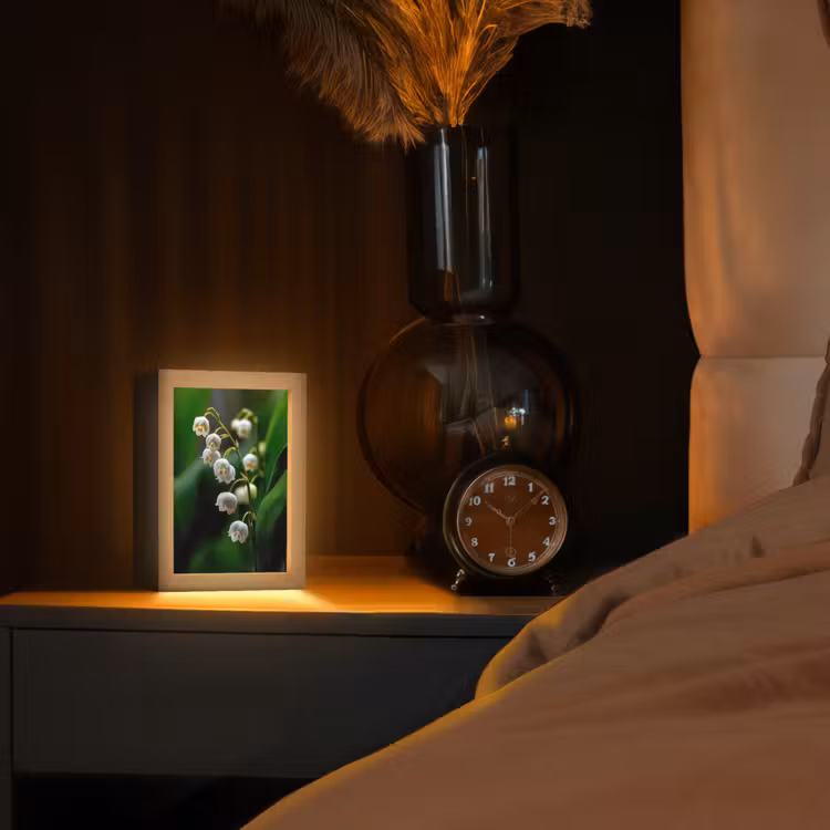 Bloemen - Wit - Bladeren - Lelietjes Light Box met kabel (Tafellamp) klein -sfeer1