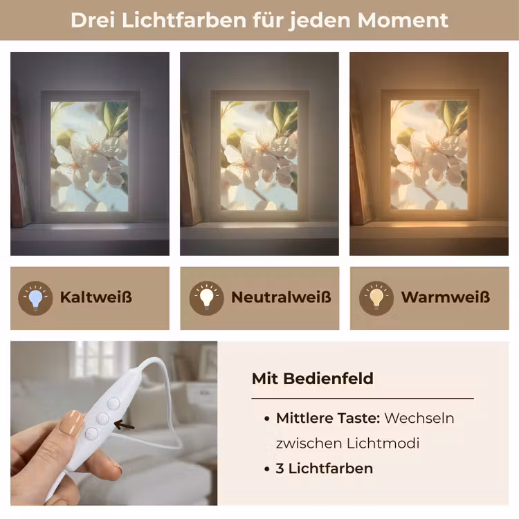 Bloesems - Wit - Zonnestralen - Bloemblaadjes Light Box met kabel (Tafellamp) klein -USP_lichtkleurDE
