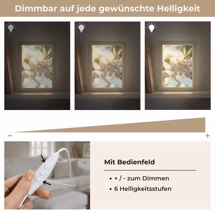 Bloesems - Wit - Zonnestralen - Bloemblaadjes Light Box met kabel (Tafellamp) klein -USP_dimbaarDE