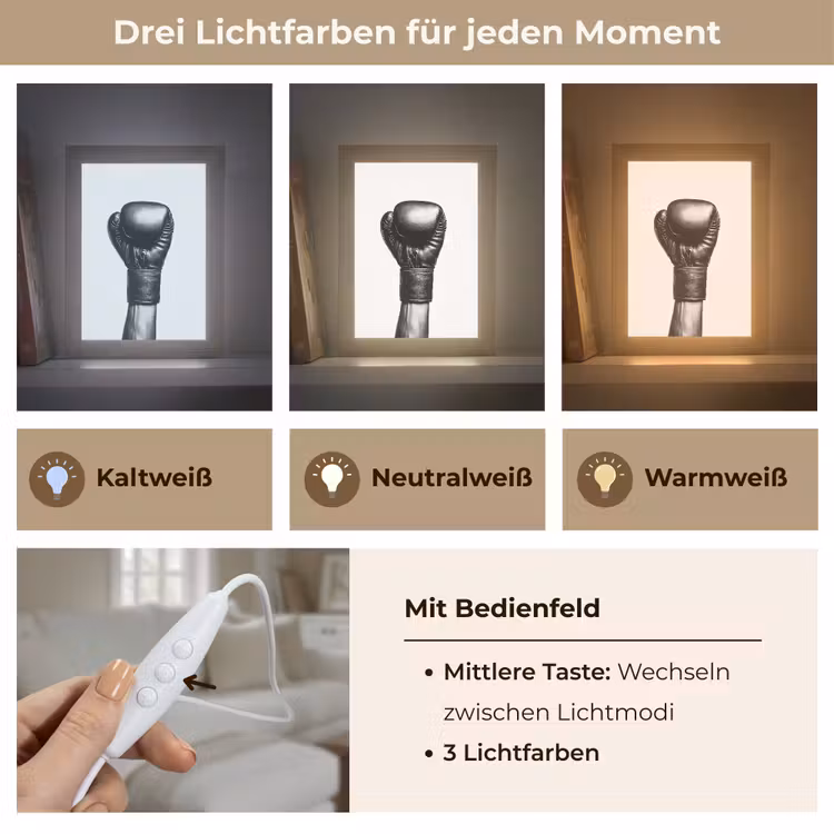 Bokshandschoen - Zwart - Hand Light Box met kabel (Tafellamp) klein -USP_lichtkleurDE