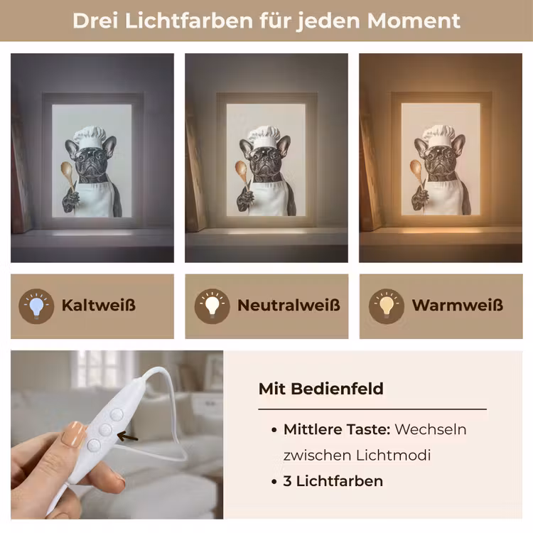 Bril - Hond - Kok Light Box met kabel (Tafellamp) klein -USP_lichtkleurDE