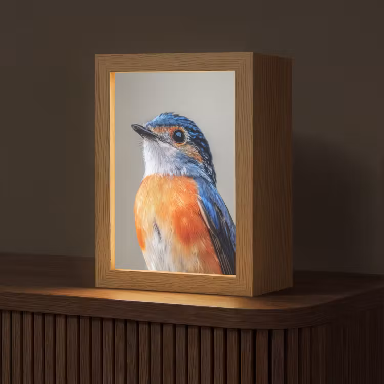 Kleurrijk - Vogeltje - Veren - Blauw Light Box met kabel (Tafellamp) klein -z3d_website
