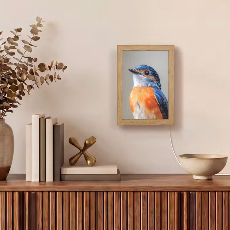Kleurrijk - Vogeltje - Veren - Blauw Light Box met kabel (Tafellamp) klein -sfeer2