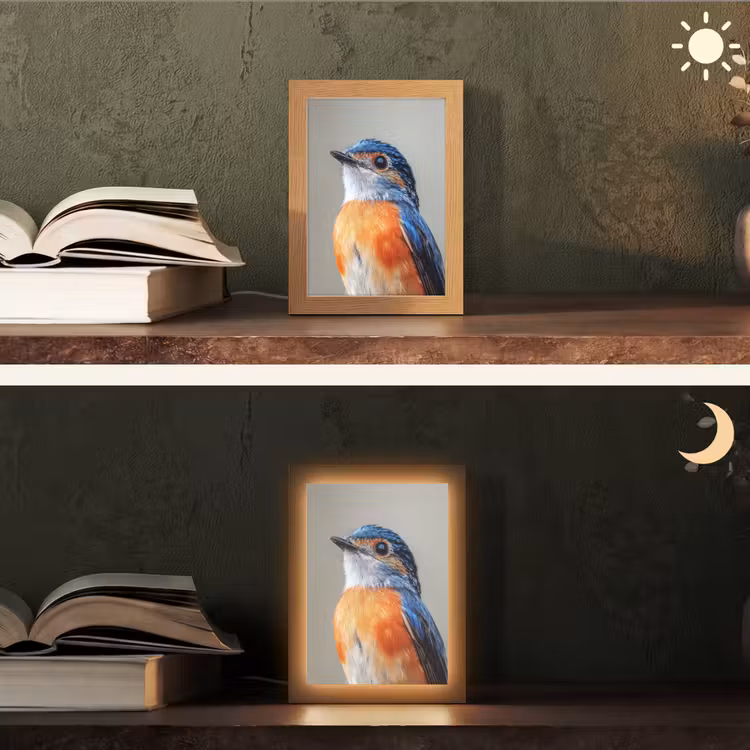 Kleurrijk - Vogeltje - Veren - Blauw Light Box met kabel (Tafellamp) klein -sfeer3