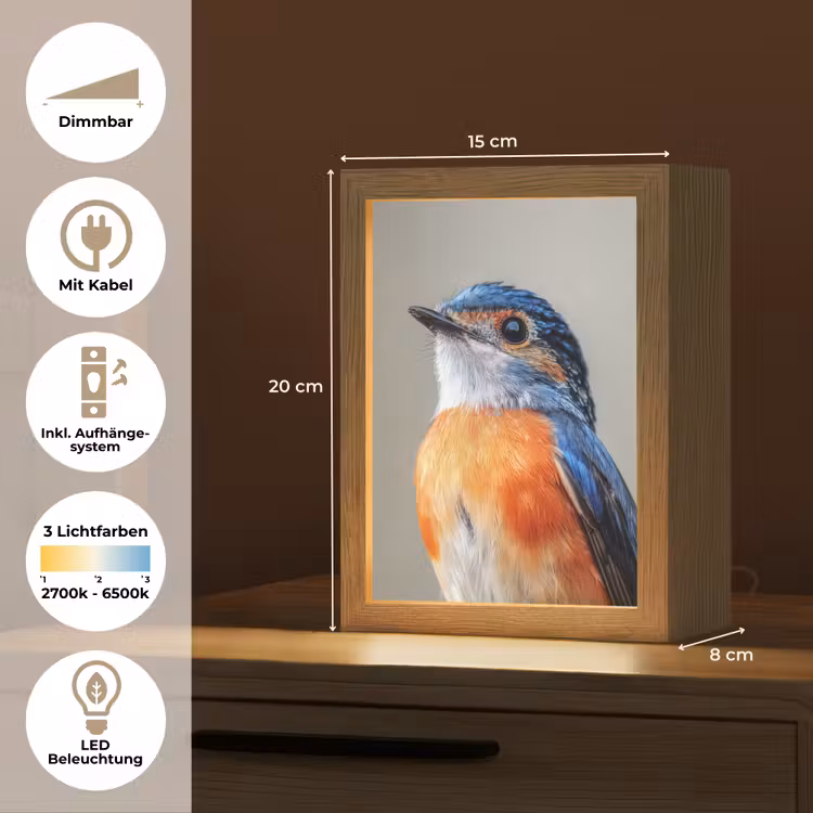 Kleurrijk - Vogeltje - Veren - Blauw Light Box met kabel (Tafellamp) klein -USP_DE