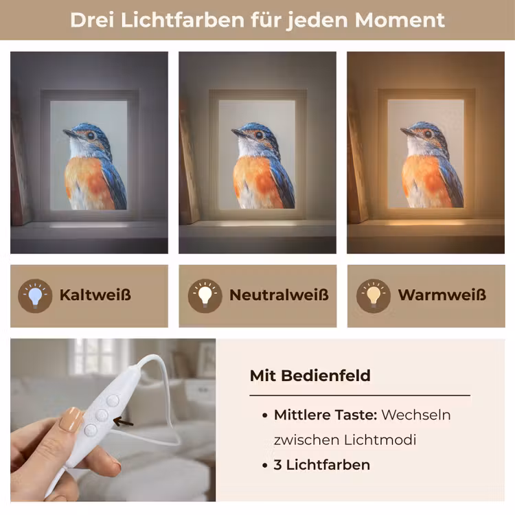 Kleurrijk - Vogeltje - Veren - Blauw Light Box met kabel (Tafellamp) klein -USP_lichtkleurDE
