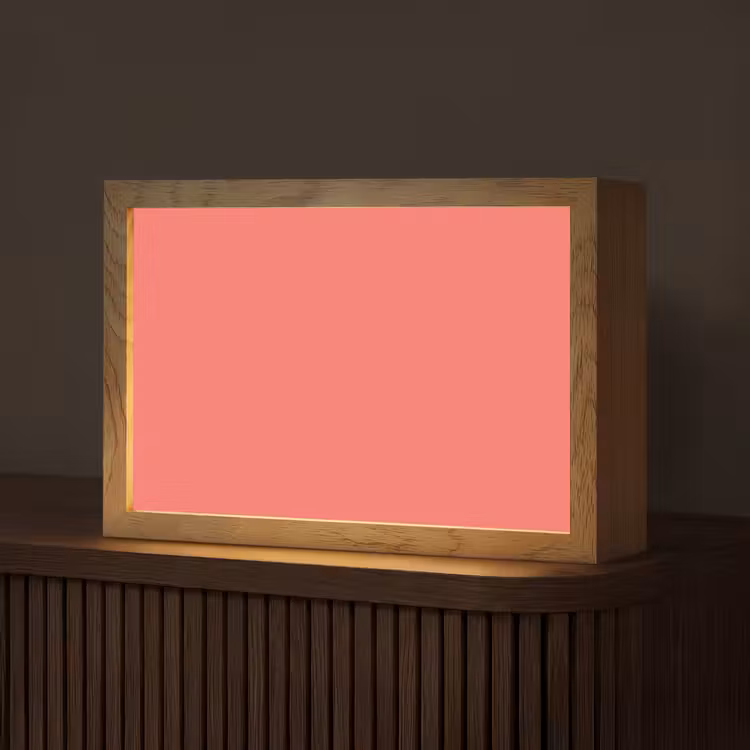 Coral - Punch - Koraal Light Box met kabel (Tafellamp) klein 924 -z3d_website