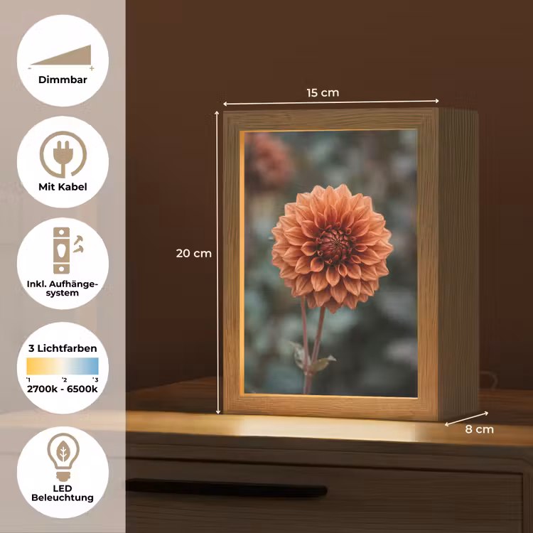 Dahlia - Bloem - Natuur - Sfeervol Light Box met kabel (Tafellamp) klein -USP_DE