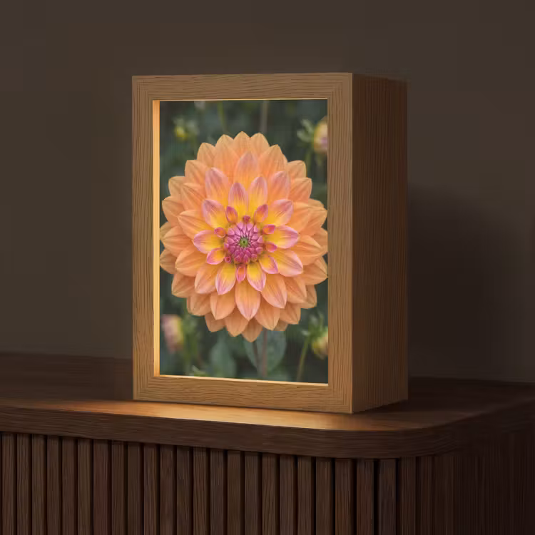 Dahlia - Bloem - Oranje Light Box met kabel (Tafellamp) klein -z3d_website