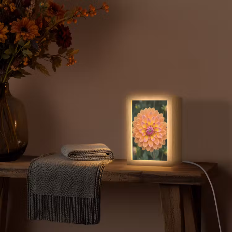 Dahlia - Bloem - Oranje Light Box met kabel (Tafellamp) klein -sfeer4