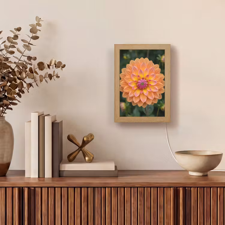 Dahlia - Bloem - Oranje Light Box met kabel (Tafellamp) klein -sfeer2
