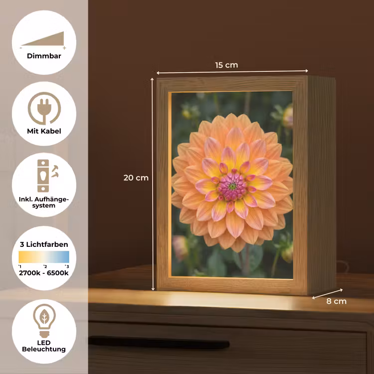 Dahlia - Bloem - Oranje Light Box met kabel (Tafellamp) klein -USP_DE