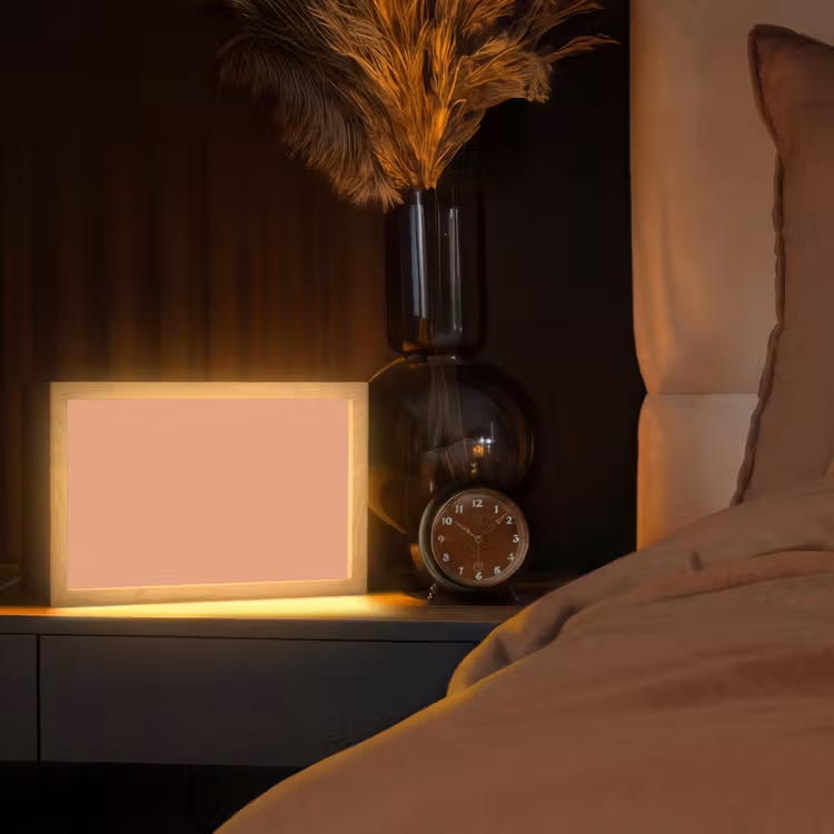 Desert - Coral - Koraal Light Box met kabel (Tafellamp) klein 924 -sfeer1