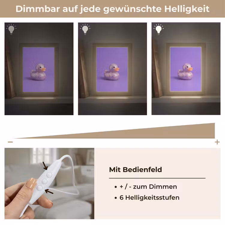Disco - Eend - Paars Light Box met kabel (Tafellamp) klein -USP_dimbaarDE