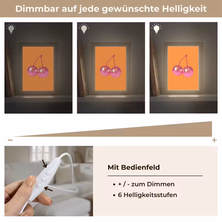 Discoballen - Kers - Spiegels - Roze Light Box met kabel (Tafellamp) klein -USP_dimbaarDE