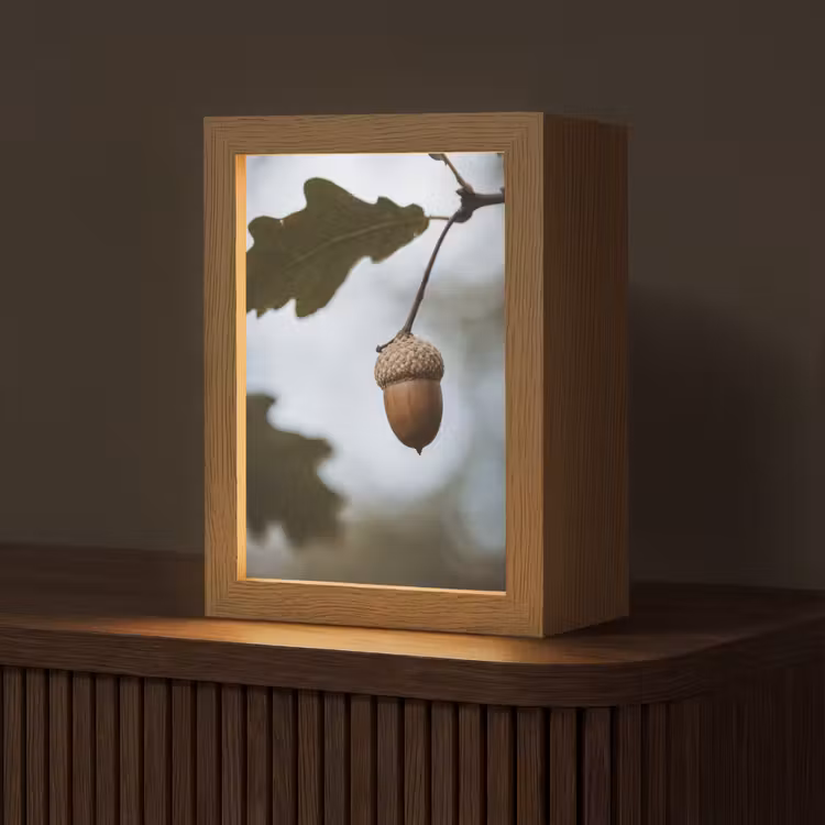 Eikel - Eikenblad - Bos - Herfst - Natuur Light Box met kabel (Tafellamp) klein -z3d_website