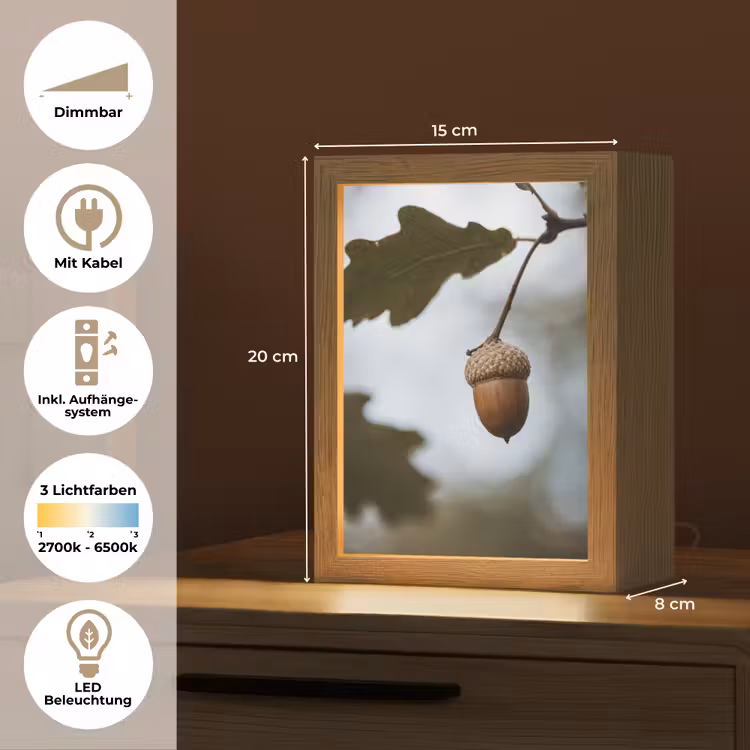 Eikel - Eikenblad - Bos - Herfst - Natuur Light Box met kabel (Tafellamp) klein -USP_DE