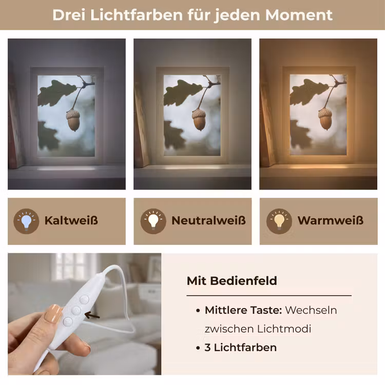 Eikel - Eikenblad - Bos - Herfst - Natuur Light Box met kabel (Tafellamp) klein -USP_lichtkleurDE