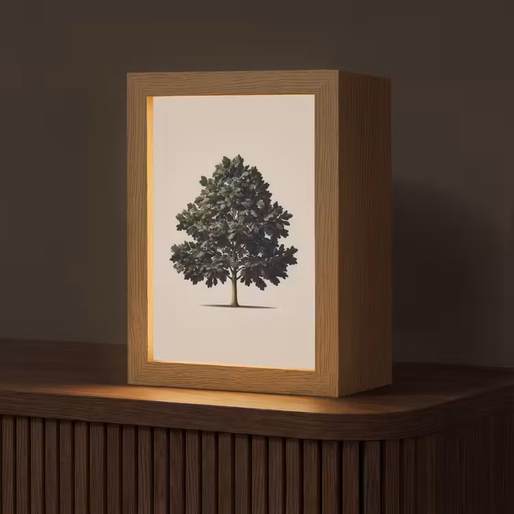 Eikenboom - Schaduw - Egaal Light Box met kabel (Tafellamp) klein -z3d_website