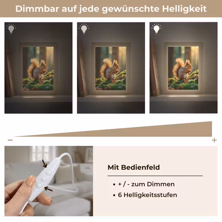Eekhoorn - Nootje - Gras Light Box met kabel (Tafellamp) klein -USP_dimbaarDE