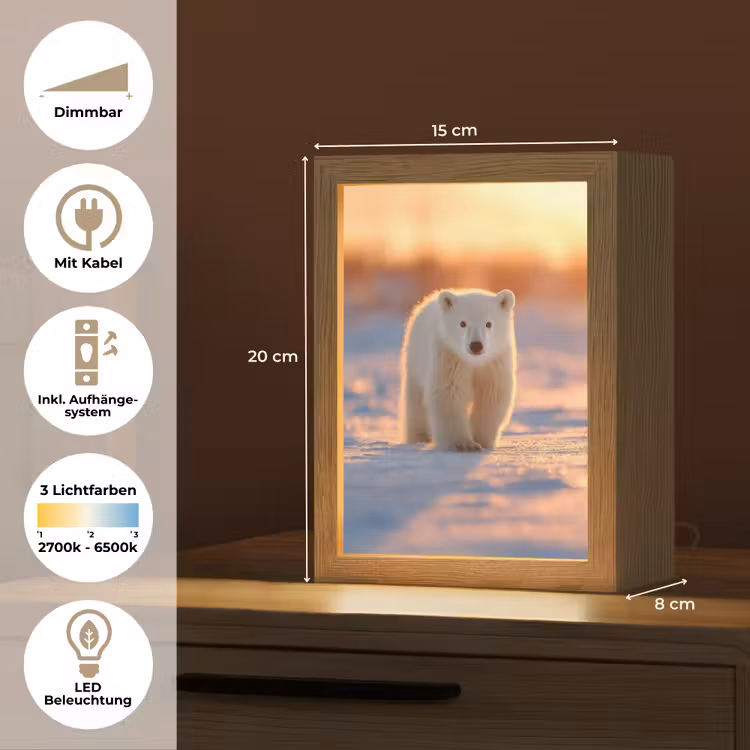 Ijsbeer - Sneeuw - Zonsopgang Light Box met kabel (Tafellamp) klein -USP_DE