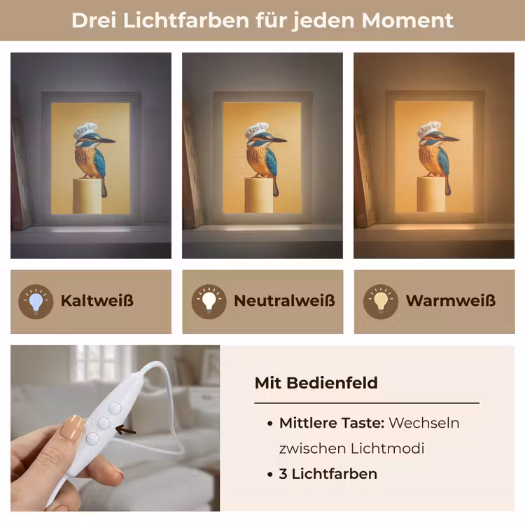 Ijsvogel - Pilaar - Koksmuts - Vogel Light Box met kabel (Tafellamp) klein -USP_lichtkleurDE