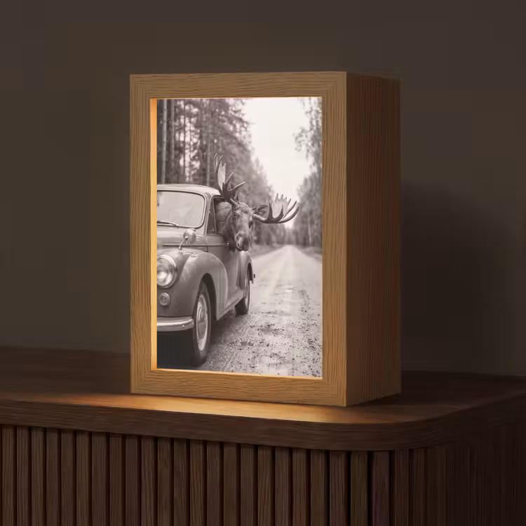 Eland - Auto - Gewei - Zwart - Wit Light Box met kabel (Tafellamp) klein -z3d_website