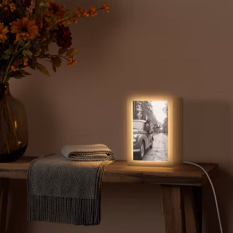 Eland - Auto - Gewei - Zwart - Wit Light Box met kabel (Tafellamp) klein -sfeer4