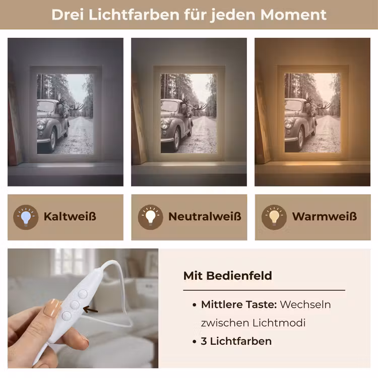 Eland - Auto - Gewei - Zwart - Wit Light Box met kabel (Tafellamp) klein -USP_lichtkleurDE