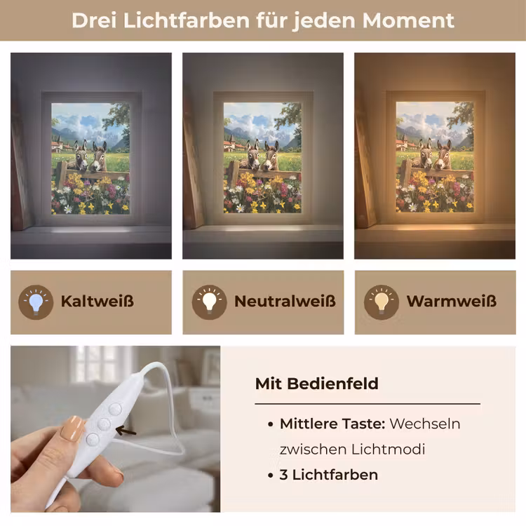Ezels - Bloemen - Zomers Light Box met kabel (Tafellamp) klein -USP_lichtkleurDE