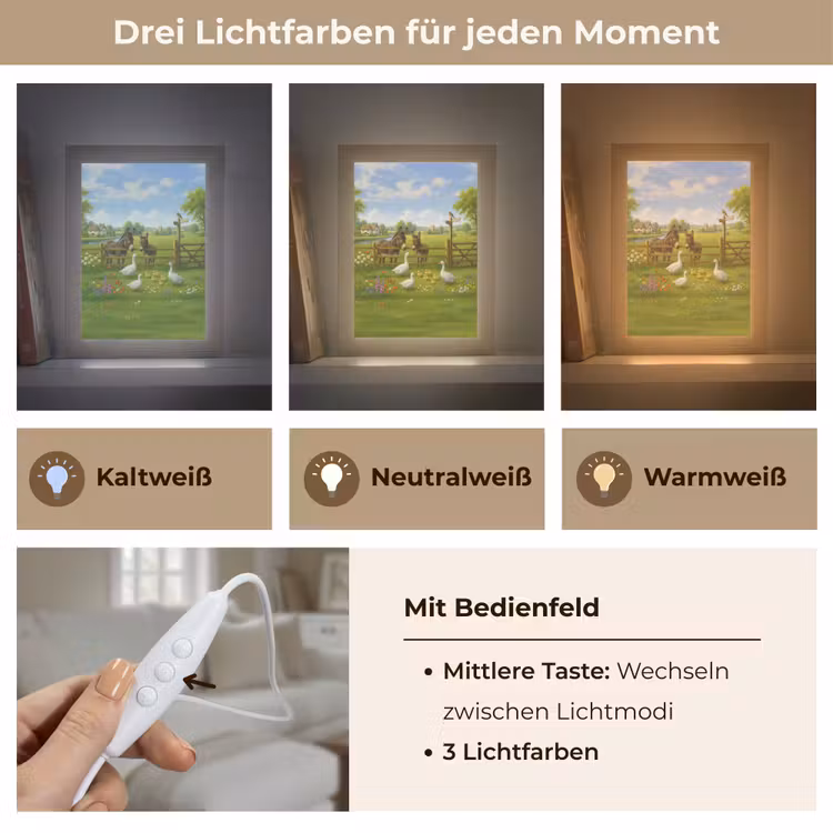 Ezels - Ganzen - Kleurrijk Light Box met kabel (Tafellamp) klein -USP_lichtkleurDE