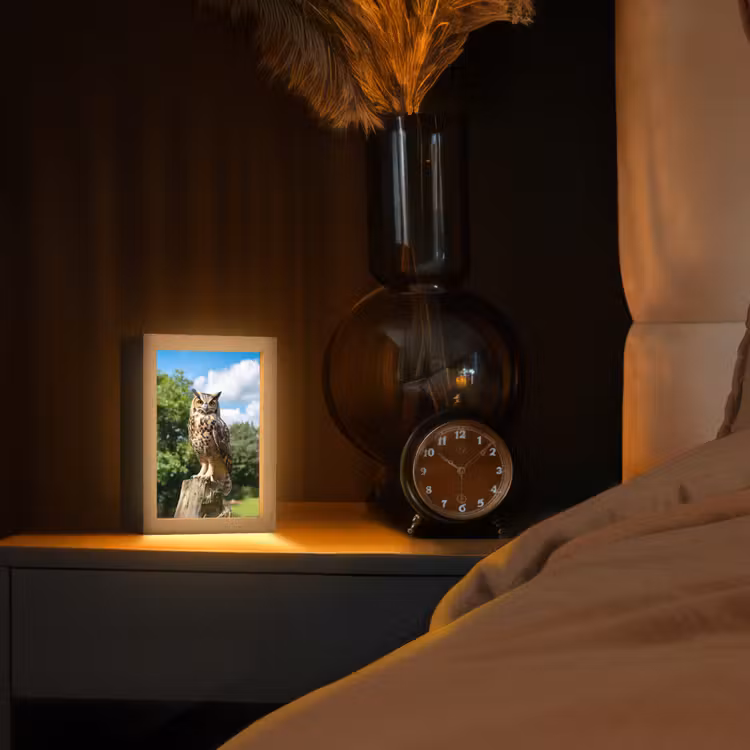 Uil - Boomstronk - Bos - Lucht Light Box met kabel (Tafellamp) klein -sfeer1