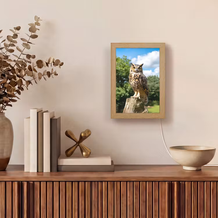 Uil - Boomstronk - Bos - Lucht Light Box met kabel (Tafellamp) klein -sfeer2