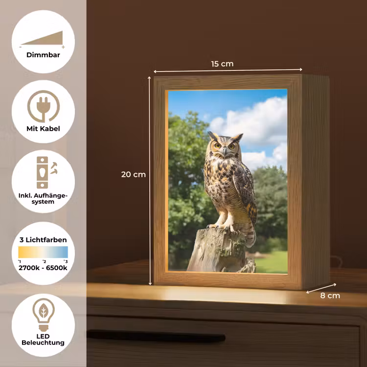 Uil - Boomstronk - Bos - Lucht Light Box met kabel (Tafellamp) klein -USP_DE