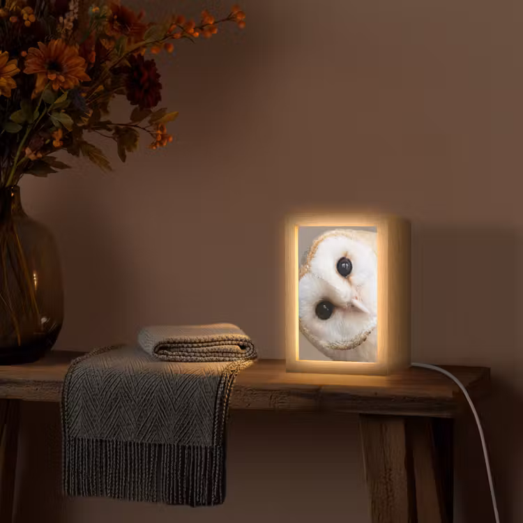 Uil - Bruin - Wit Light Box met kabel (Tafellamp) klein -sfeer4