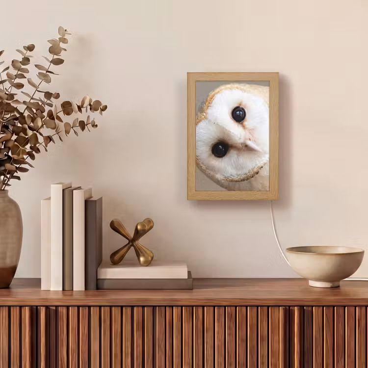 Uil - Bruin - Wit Light Box met kabel (Tafellamp) klein -sfeer2