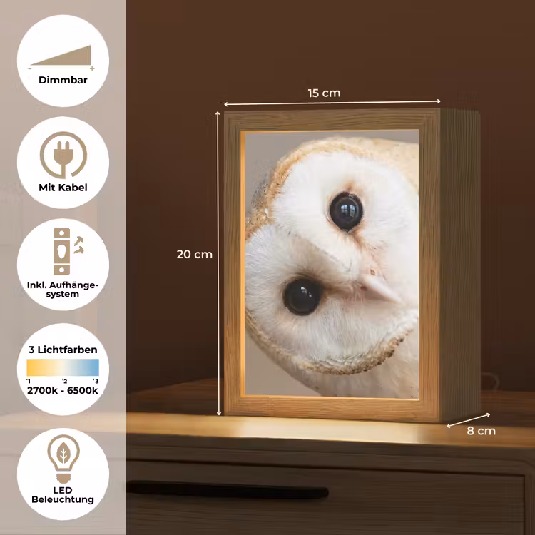 Uil - Bruin - Wit Light Box met kabel (Tafellamp) klein -USP_DE