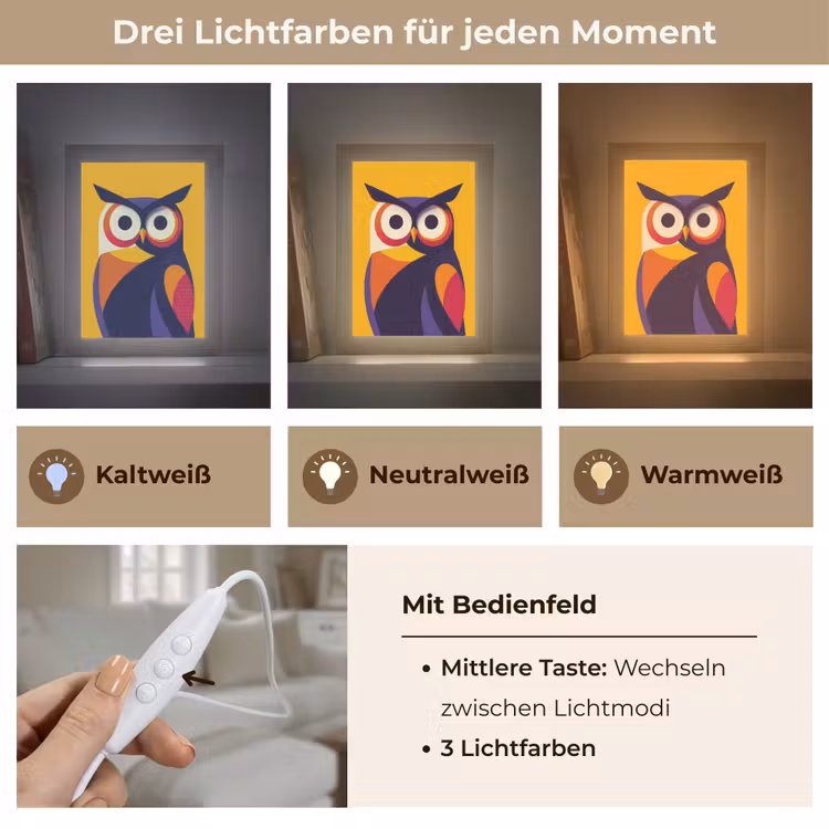 Uil - Grafisch - Kleurrijk - Ogen Light Box met kabel (Tafellamp) klein -USP_lichtkleurDE