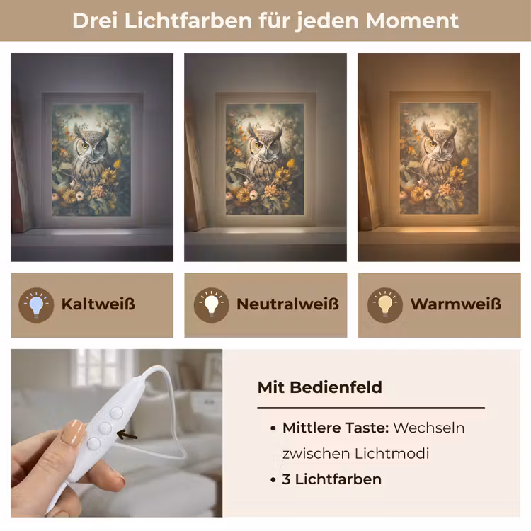 Uil - Vogels - Bloemen - Natuur Light Box met kabel (Tafellamp) klein -USP_lichtkleurDE