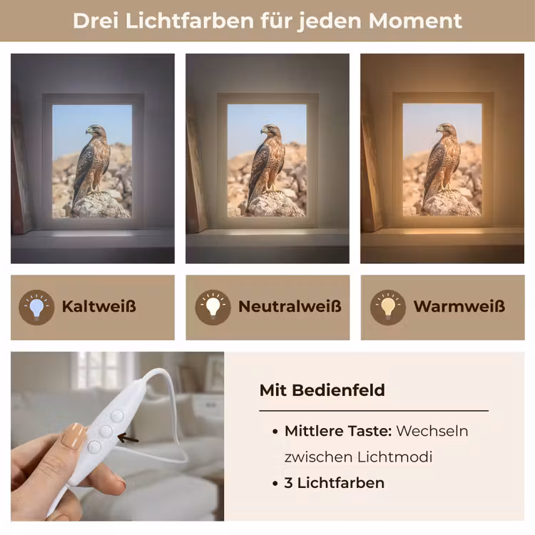 Valk - Vogel - Rots - Macht Light Box met kabel (Tafellamp) klein -USP_lichtkleurDE